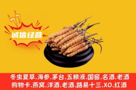 重庆丰都县回收冬虫夏草